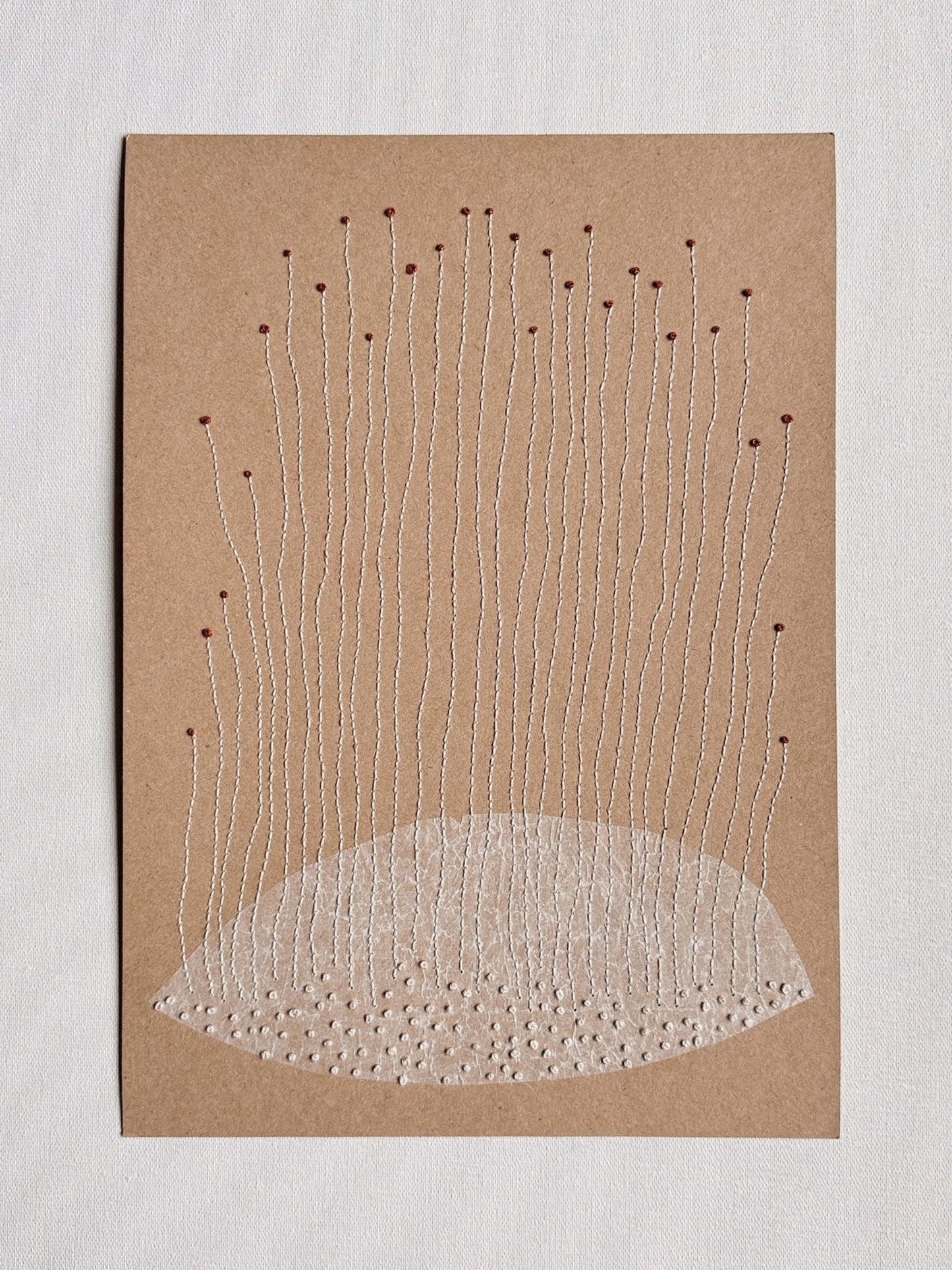 Seed
