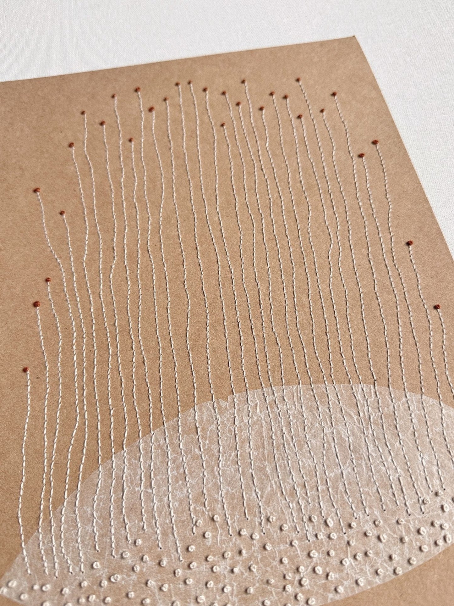 Seed