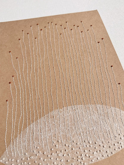 Seed