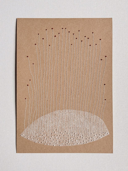 Seed