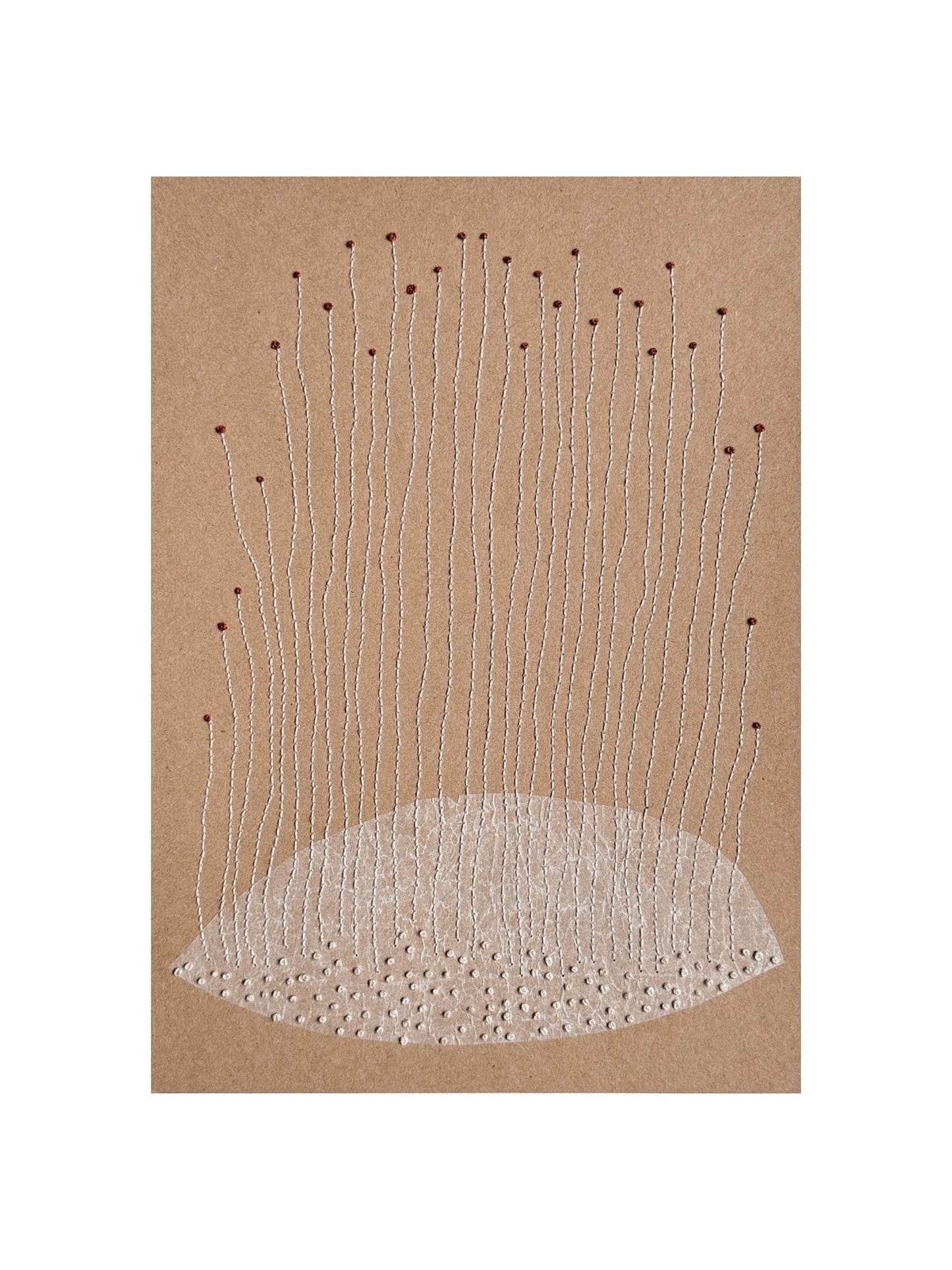 Seed